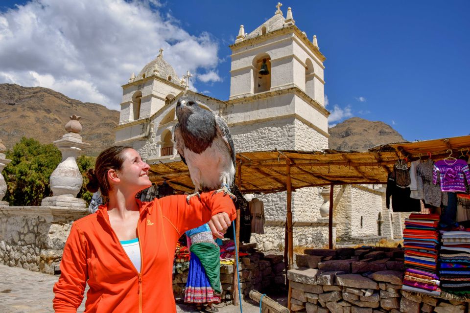 Andes: Colca Canyon Day-Trip - Getting to Colca Canyon: Why the Ride Feels Like Part of the Experience