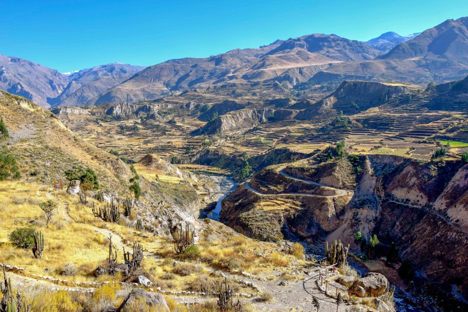 Andes: Colca Canyon Day-Trip - Toqrapampa Lagoons and Pampa Cañahuas Wildlife Finish