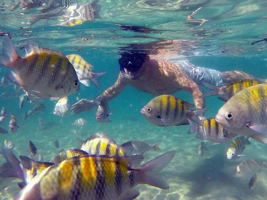Angra dos Reis and Ilha Grande: Small-Group Fast-Boat Tour - Snorkeling, underwater photos, and what’s really included