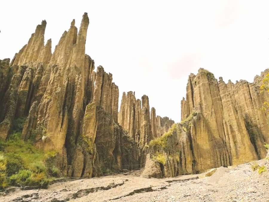 Animas Valley & Palca Canyon - Valle de las Animas: Obelisks, clay paths, and ecosystem changes