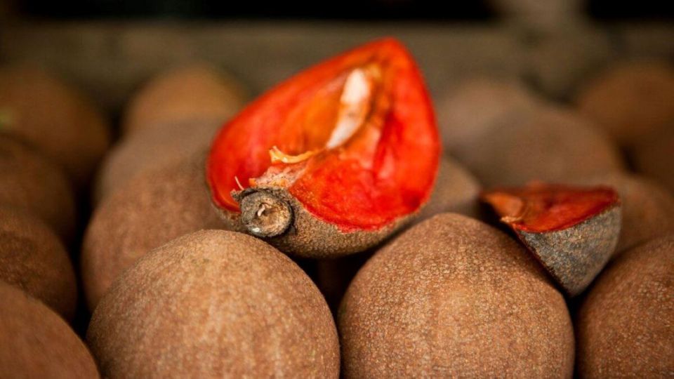 Antigua Guatemala: Street Food Walking Tour with Tastings - The Jade Shop Stop and Why It Can Still Be Practical