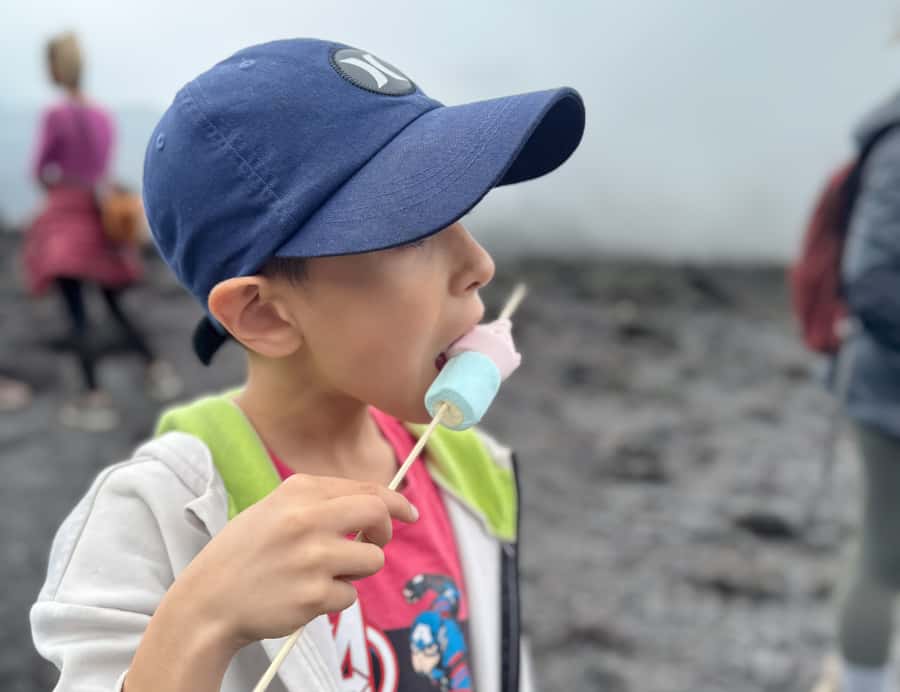 Antigua: Marshmallows Roasting at Pacaya Volcano 6-hour Tour - Key things you’ll notice on this Pacaya tour