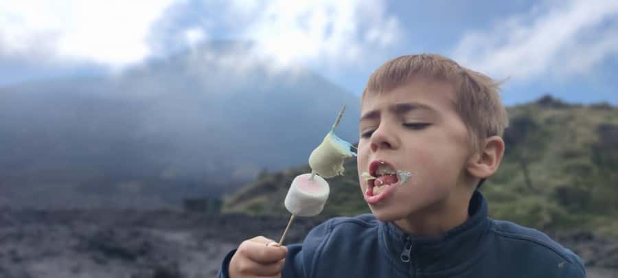 Antigua: Marshmallows Roasting at Pacaya Volcano 6-hour Tour - Entrance fee at the gates: the Q100 cash detail that matters