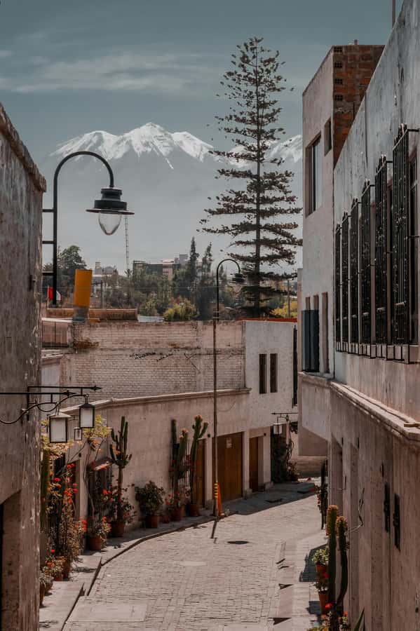 Arequipa: Walk through the Historic Center of the City - Cathedral and Cloisters: Seeing Arequipa’s Big Statement Up Close