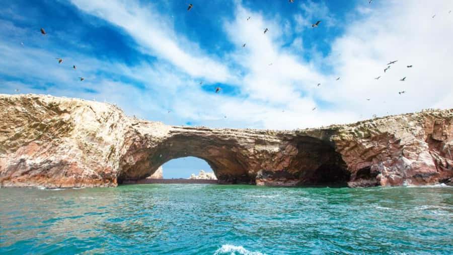 Ballestas Islands & Paracas National Reserve from Paracas - FAQ