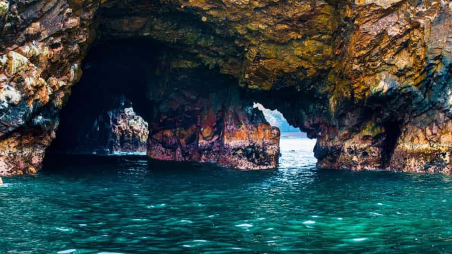 Ballestas Islands & Paracas National Reserve from Paracas - Paracas National Reserve: La Catedral, Playa Roja, and Lagunillas