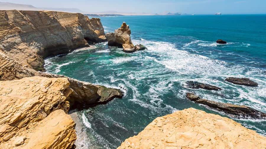 Ballestas Islands & Paracas National Reserve from Paracas - Price and value: what this costs and what to budget for