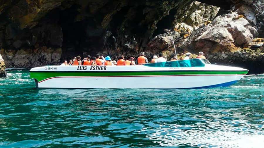 Ballestas Islands & Paracas National Reserve from Paracas - Who this tour fits best (and who should think twice)
