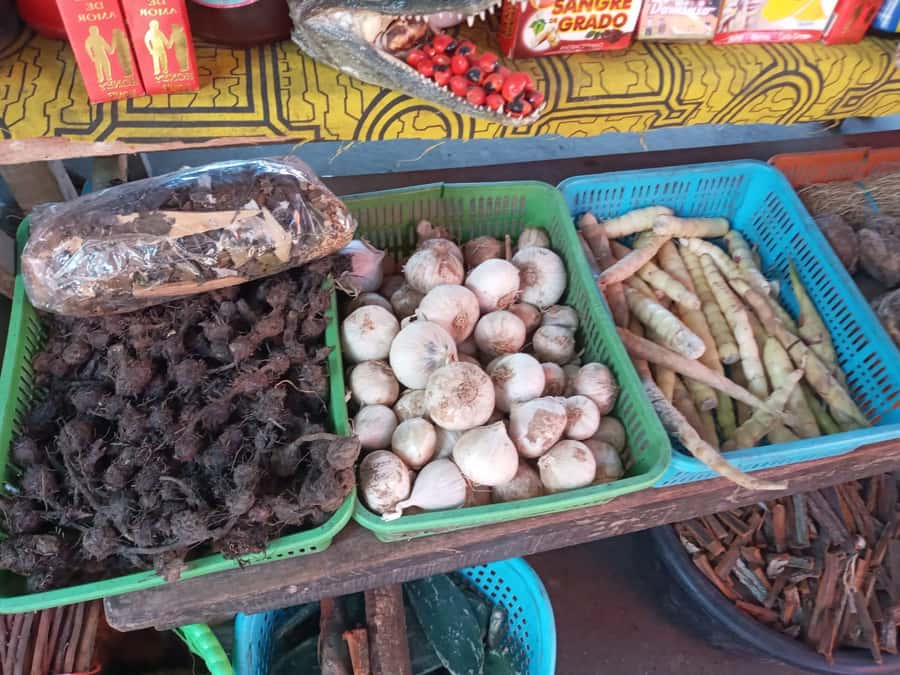 Belen Market & Floating City 2-3 Hour Private Tour - Where to meet and how pick-up works