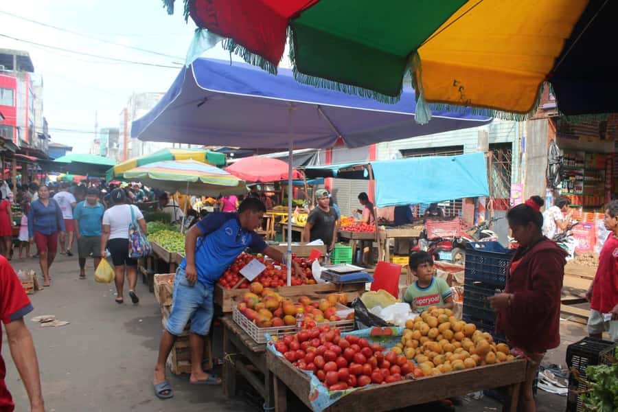 Belen Market & Floating City 2-3 Hour Private Tour - Who this tour suits best (and who should skip it)