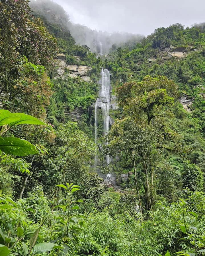 Bogotá: Visit Colombia's Highest Waterfalls & Guadalupe Hill - Key Highlights You’ll Care About