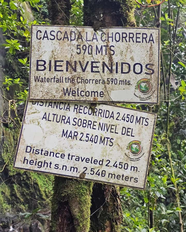 Bogotá: Visit Colombia's Highest Waterfalls & Guadalupe Hill - The Early Drive from Bogotá to Choachí: Why the Morning Feels Like Part of the Trip