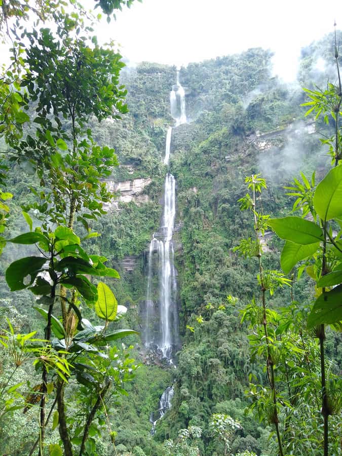 Bogotá: Visit Colombia's Highest Waterfalls & Guadalupe Hill - The Walk, the Pace, and Where Your Energy Should Go
