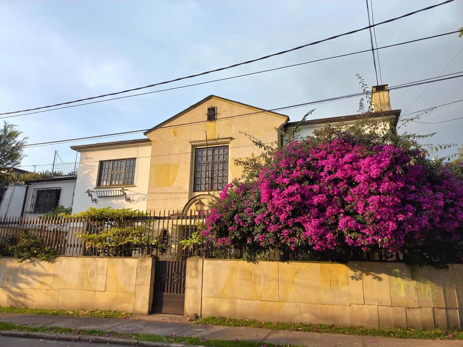 Bogota Walking Tour Teusaquillo a different part of the city - Why Teusaquillo feels like the Bogotá you wanted
