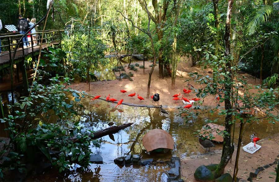 Brazilian Falls, Bird Park and Itaipu Dam - Guides, group rhythm, and the comfort factor