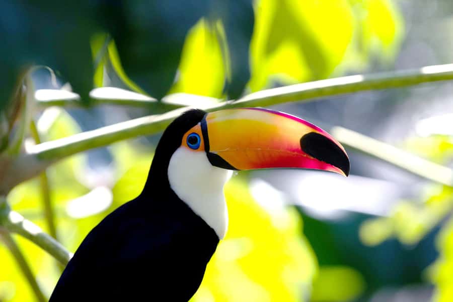 Buenos Aires: Bioparque Temaiken with Transfers - What’s Included vs. What You Should Plan For