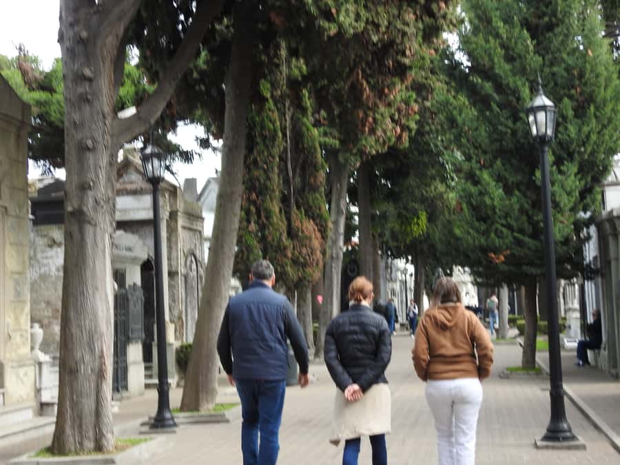 Buenos Aires: City Highlights Guided Tour with Transfer - Transfer Comfort and Timing: What to Expect From the Minivan Day