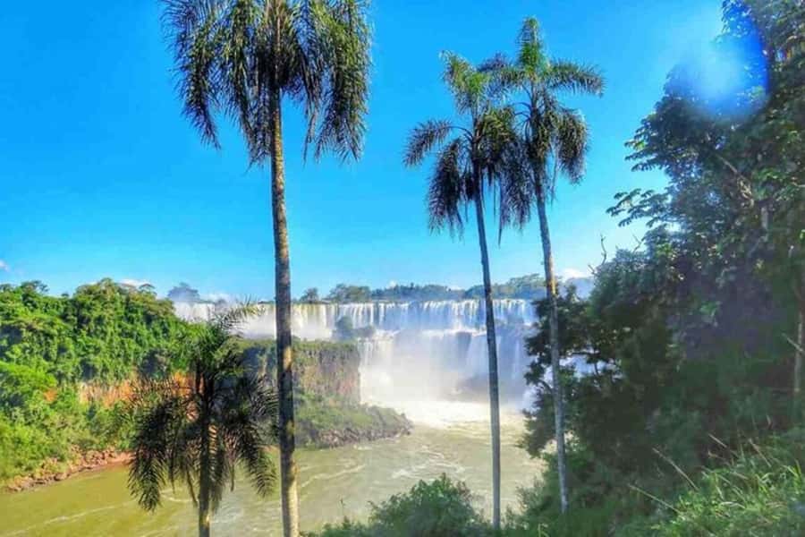 Buenos Aires: Iguazu Falls Private Tour with Flights - Inside the park: walking paths, bridges, and the viewpoints that matter