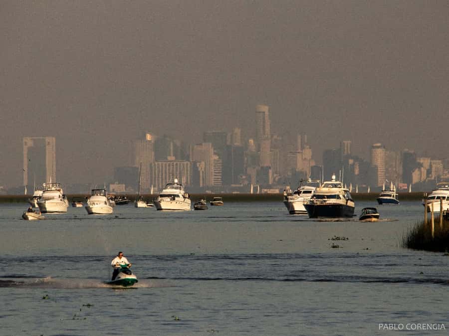 Buenos Aires: Premium Delta Navigation round trip - Should you book this Buenos Aires Delta Premium cruise?