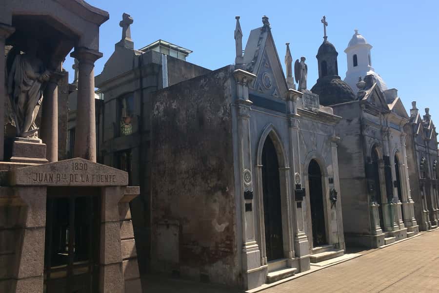 Buenos Aires Private Half-Day City Tour - Puerto Madero and Palermo: a change of pace