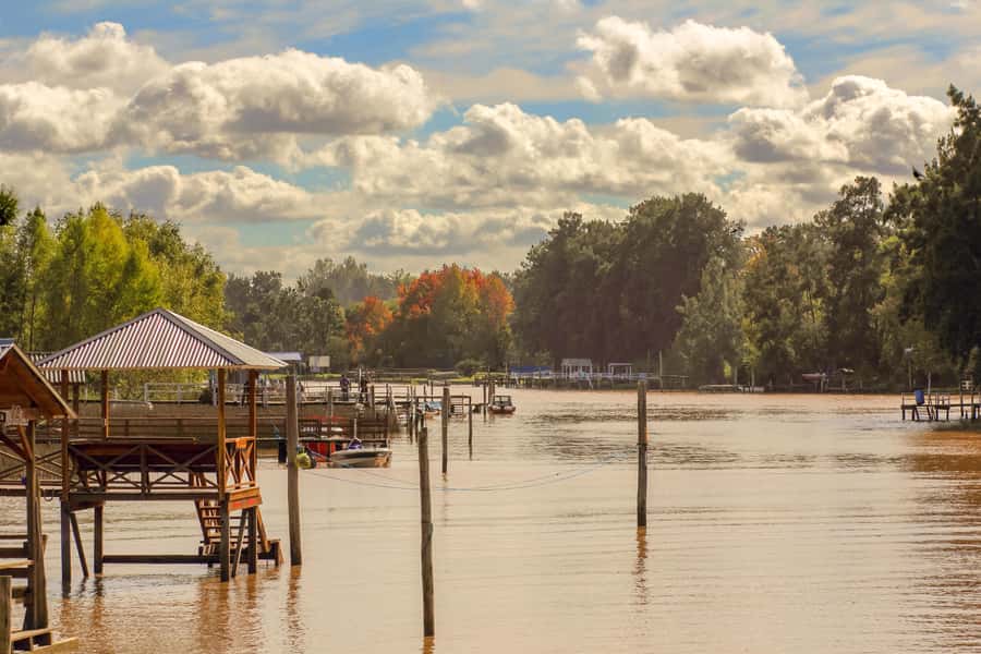 Buenos Aires: Puerto Madero to Tigre Round Trip Cruise - How the cruise experience feels: comfort, timing, and the deck