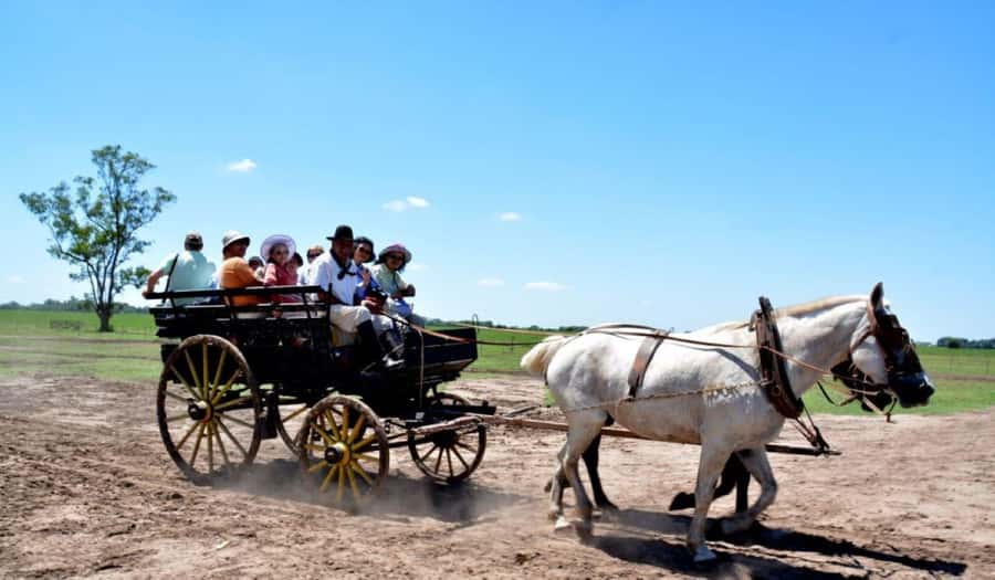 Buenos Aires: Santa Susana Ranch Day Tour, BBQ & Shows - A day at Estancia Santa Susana: what you’re really signing up for