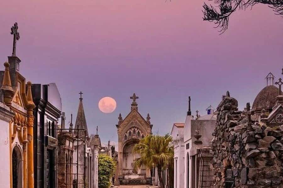 Buenos Aires: Small Group City Highlights Tour - Puerto Madero wine tasting: closing with a modern Buenos Aires vibe