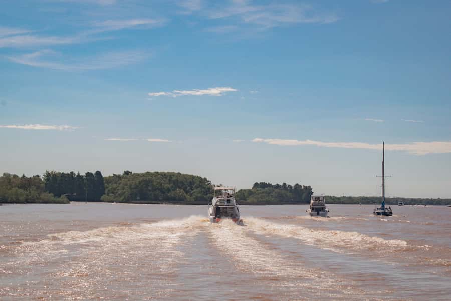 Buenos Aires: "Ticket"- 2hs of Navigation Premium to Tigre - Meeting point at Sturla Viajes, Puerto Madero: how to start smoothly