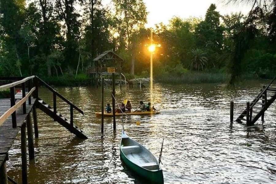 Buenos Aires: Tigre Delta Half-Day Tour with Navigation - Key takeaways