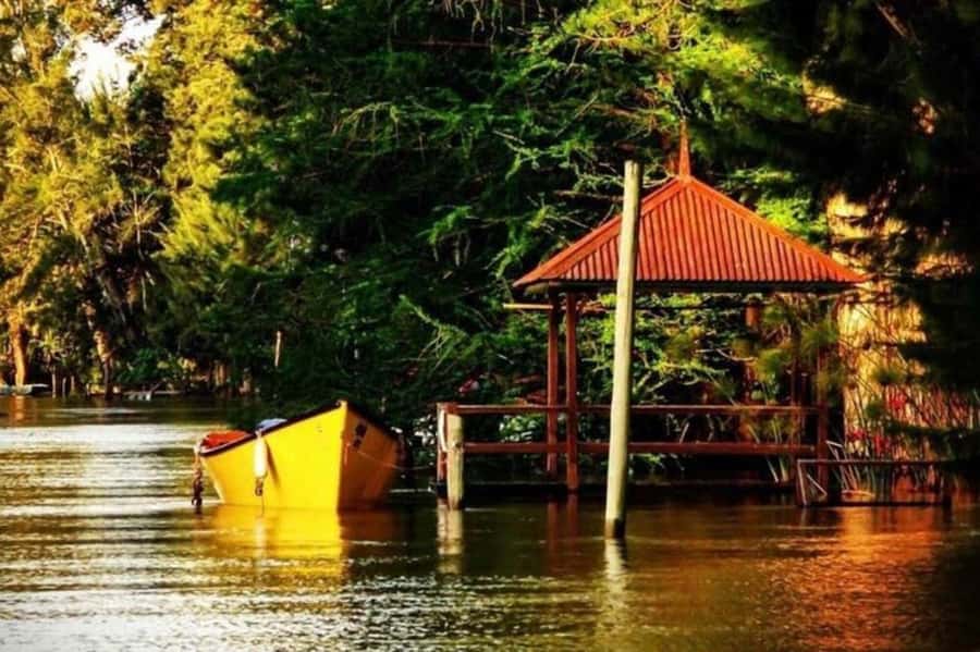 Buenos Aires: Tigre Delta Half-Day Tour with Navigation - Puerto de Frutos: A Short Market Burst With Real Local Flavor