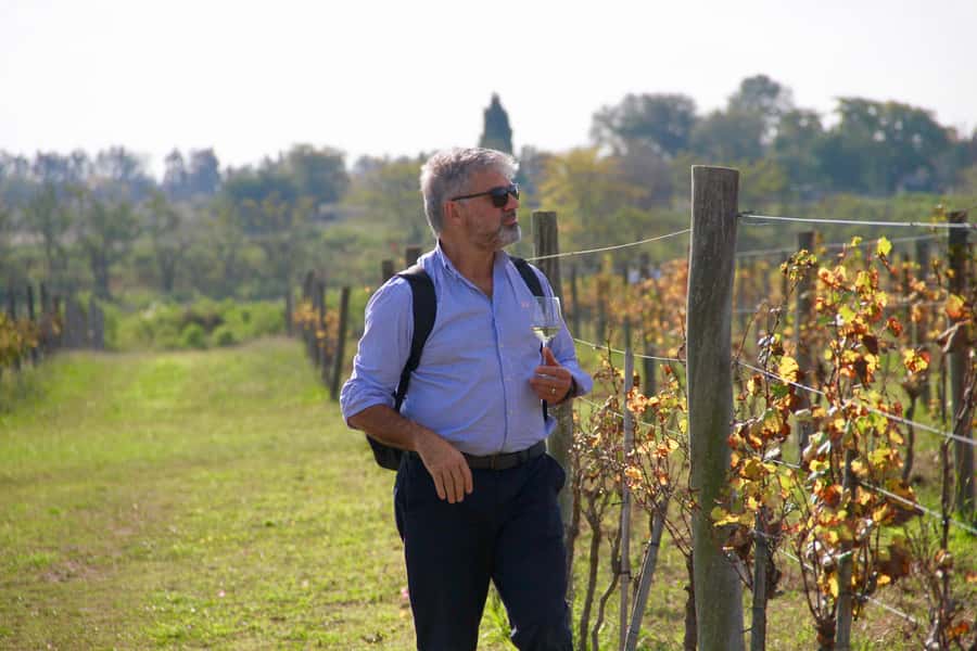 Buenos Aires: Wine Tasting and Lunch at Bodega Gamboa - Rain or shine: how the day works if the weather turns