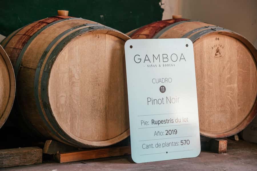Buenos Aires: Wine Tasting and Lunch at Bodega Gamboa - How much walking is involved (and who should adjust expectations)