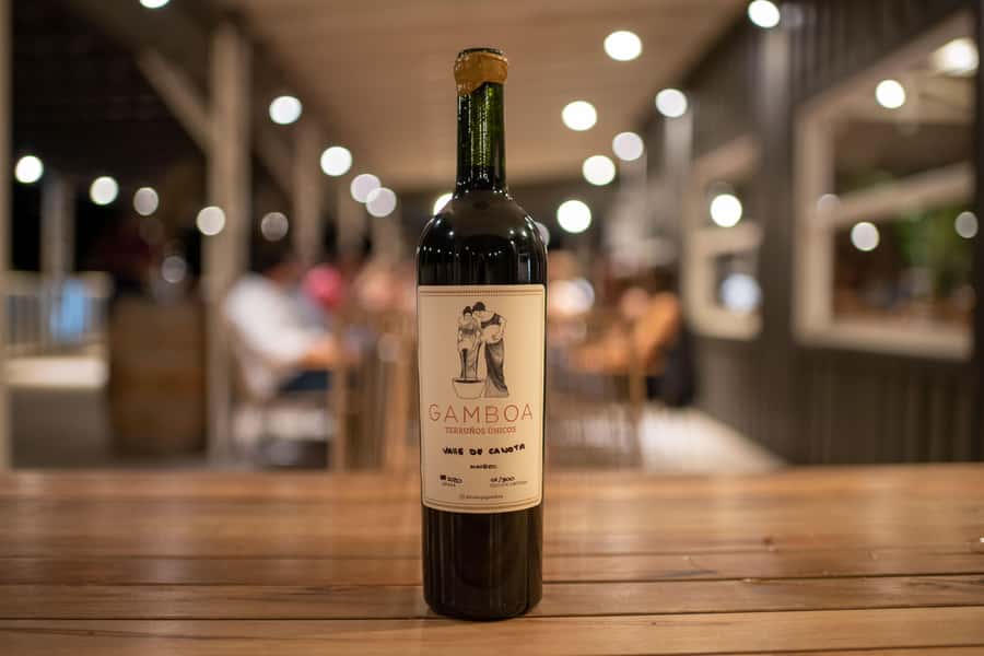 Buenos Aires: Wine Tasting and Lunch at Bodega Gamboa - Should you book the Bodega Gamboa day trip?