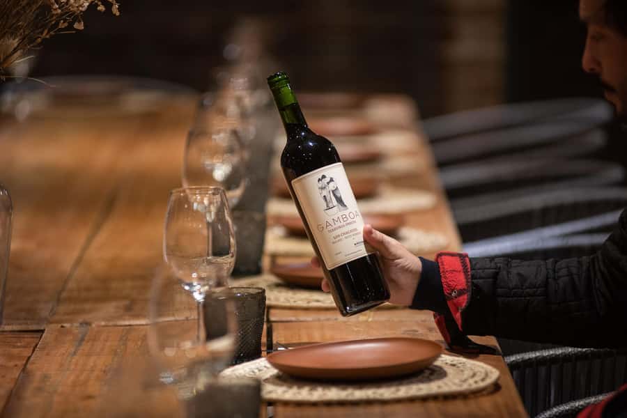 Buenos Aires: Wine Tasting and Lunch at Bodega Gamboa - Wine tasting with cheeses: what you’ll actually sample