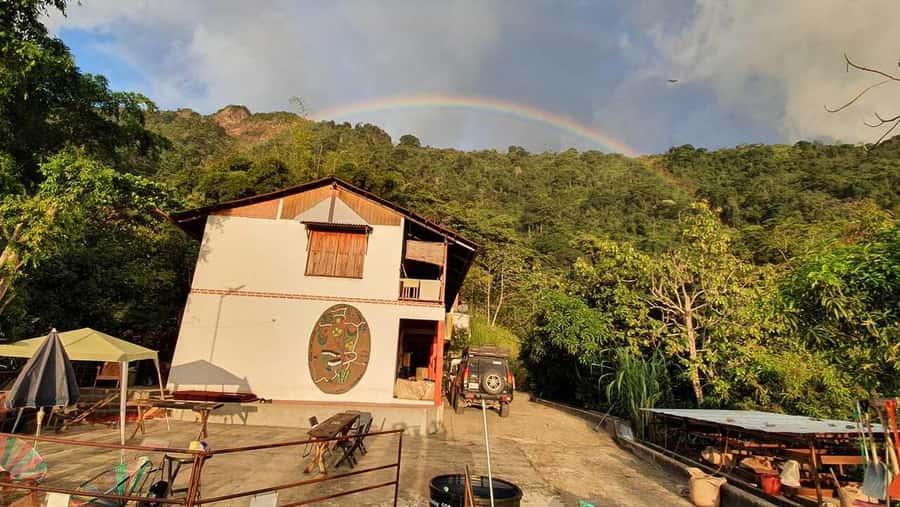 Cacao and Coffee Tour - Group Size, Guide Languages, and What You Learn