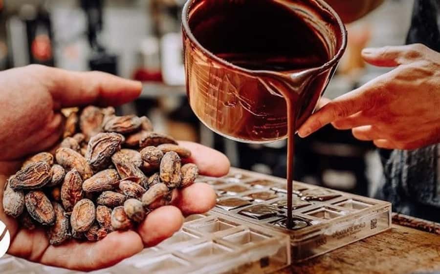 Cacao Experience Tour - Key things that make this tour worth your time