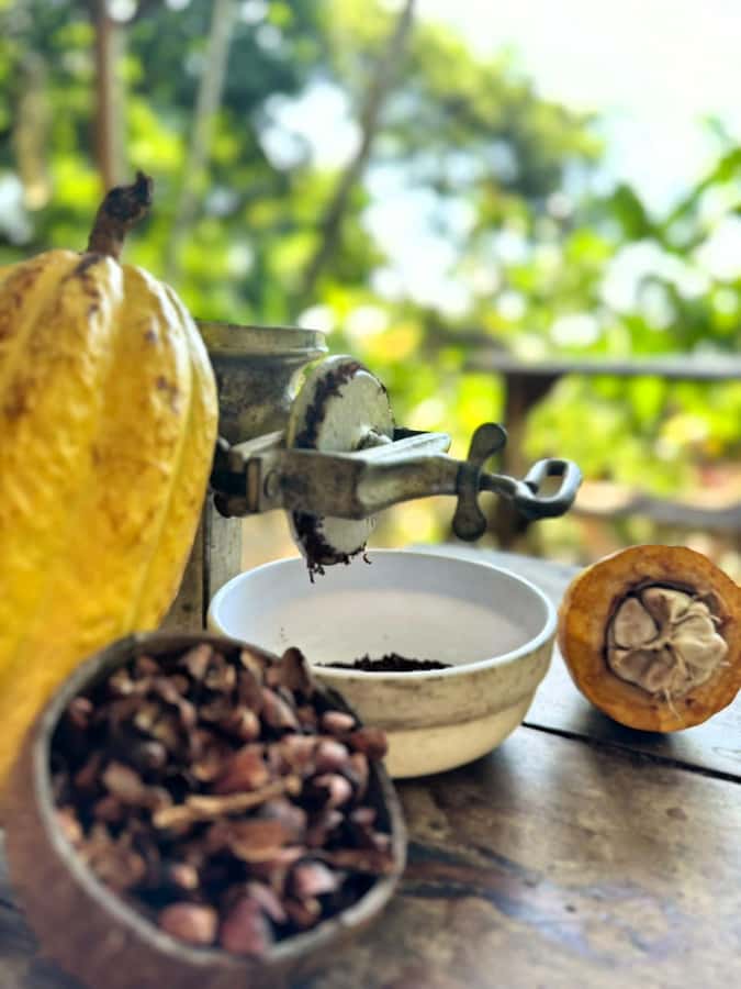 Cacao Experience Tour - From Minca’s church to Tayrona territory on foot