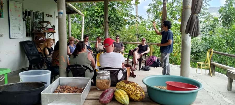 Cacao Experience Tour - Waterfall and river: clay bath time and safety reality checks