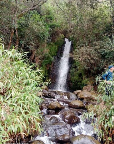 Cali: Cali River Waterfall and Great River Pools Tour - The pickup and drive out: start easy, no fuss