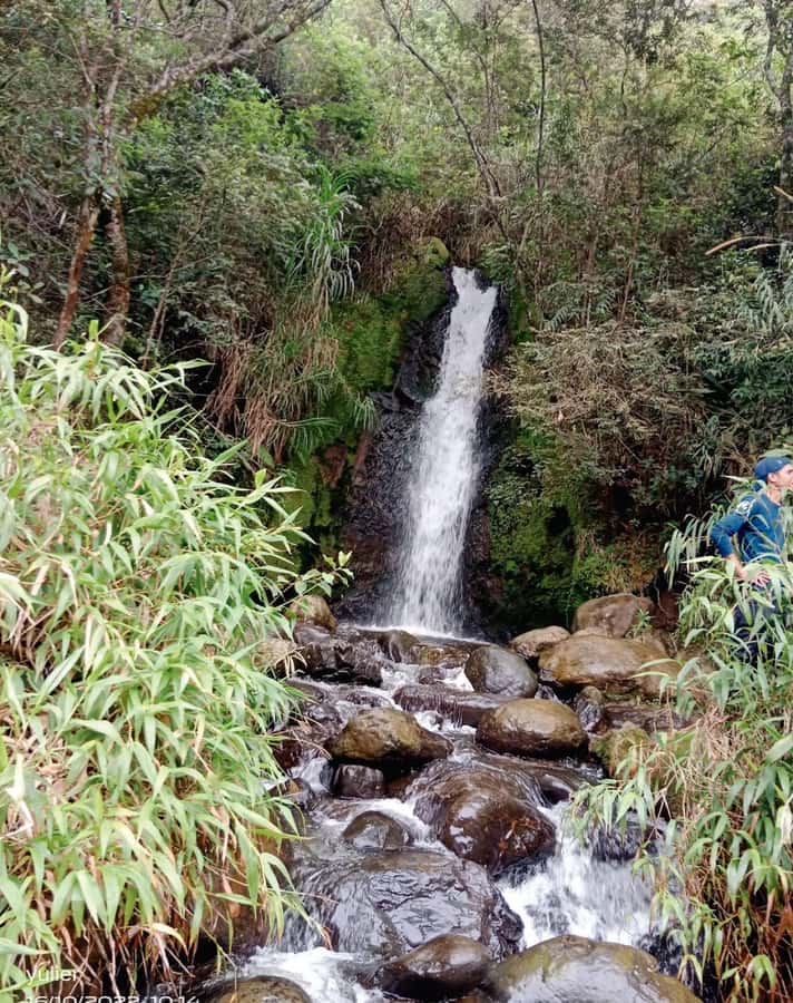 Cali: Cali River Waterfall and Great River Pools Tour - The pickup and drive out: start easy, no fuss