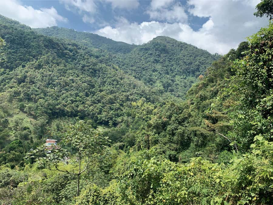 Cali: Tour of Waterfall in Pance River - Chorrera del Indio - Price and logistics: how $60 buys convenience, not just scenery