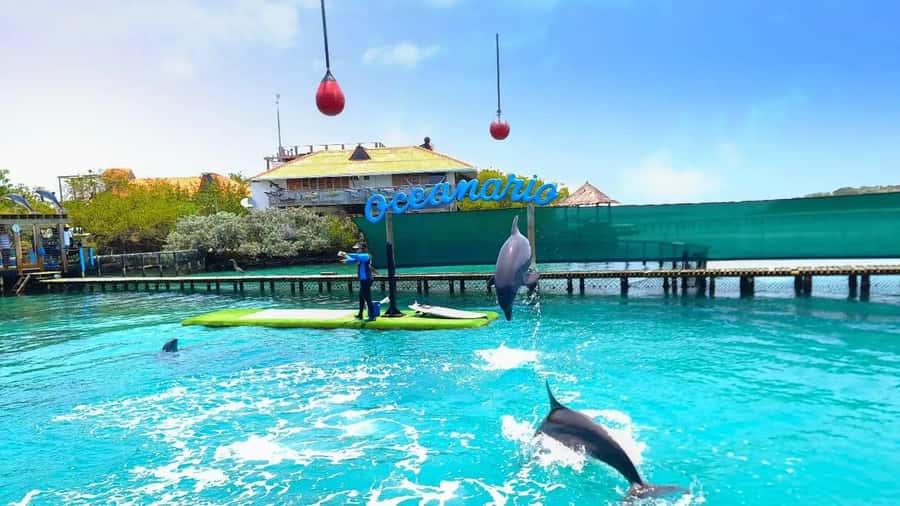 CARTAGENA: 4 islands by sport boat +oceanarium tickets - Speedboat ride reality: intensity, waves, and what to do about it