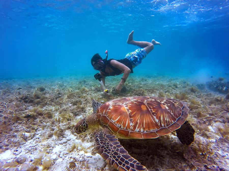 Cartagena: 5 Islands Boat Tour with Lunch, Snorkeling, & Bar - Sailing the Bay and the Bocachica Pass: Forts Seen From the Water