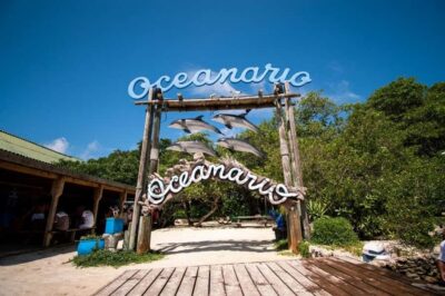 Cartagena: All-Inclusive Rosario Islands Speedboat Tour - From La Bodeguita: the morning rhythm (and why it starts early)