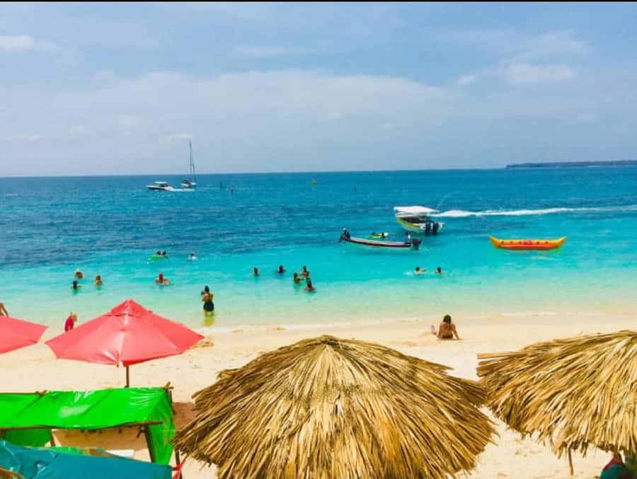 Cartagena: Barù Island Playa Blanca with Lunch - The guide and the “no-guessing” value