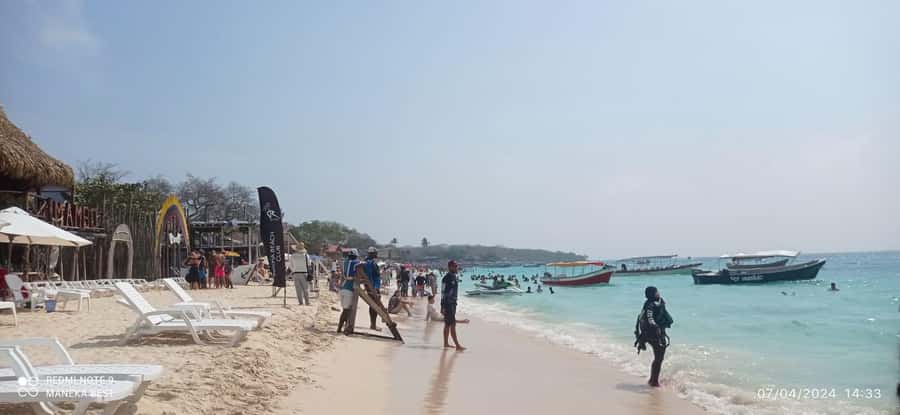 Cartagena: Barù Island Playa Blanca with Lunch - Who this tour suits best (and who should skip)