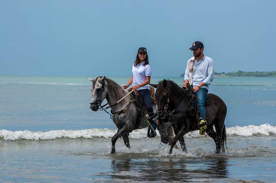 Cartagena: Beach Horse Ride and Colombian Equestrian Culture - Key Highlights That Make This Ride Worth Your Time