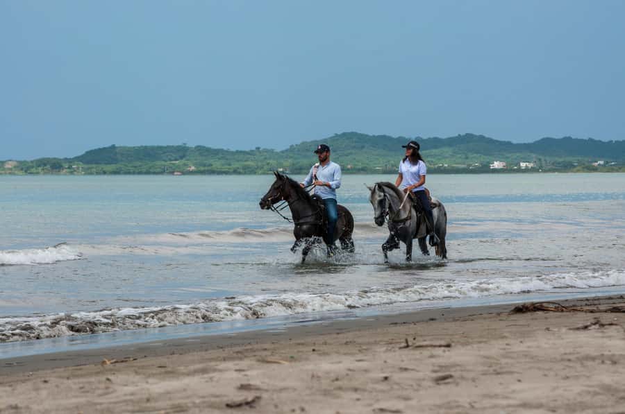 Cartagena: Beach Horse Ride and Colombian Equestrian Culture - Beach Time in Cartagena: What the 210-Minute Ride Feels Like