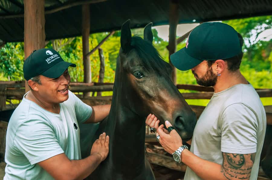 Cartagena: Beach Horse Ride and Colombian Equestrian Culture - The Ride Itself: Gentle Horses, Ocean Feel, and Horse Matching