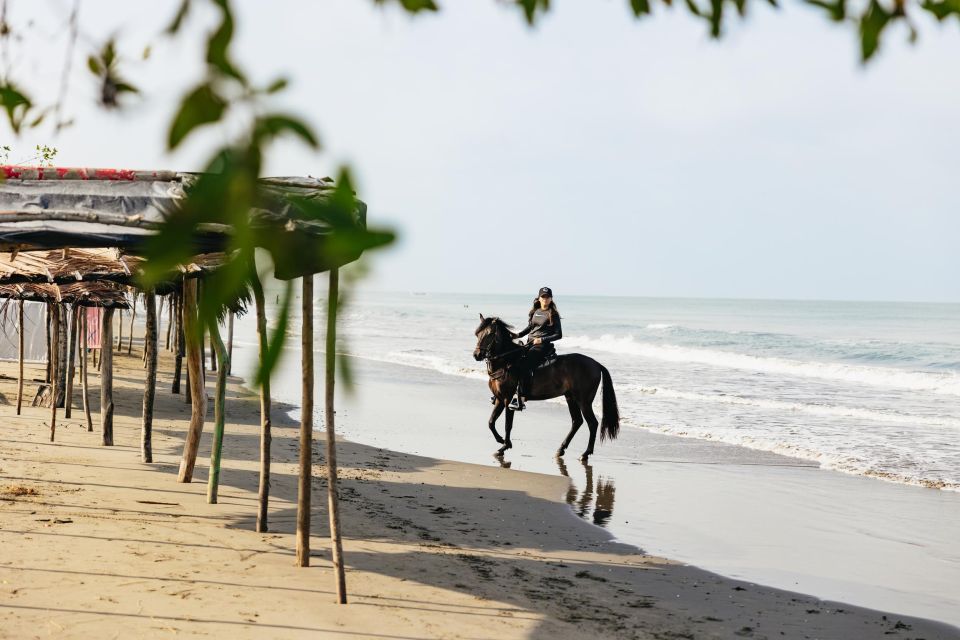 Cartagena: Beach Horse Ride and Colombian Equestrian Culture - Small-Group Comfort, Pickup, and How the Day Stays Manageable
